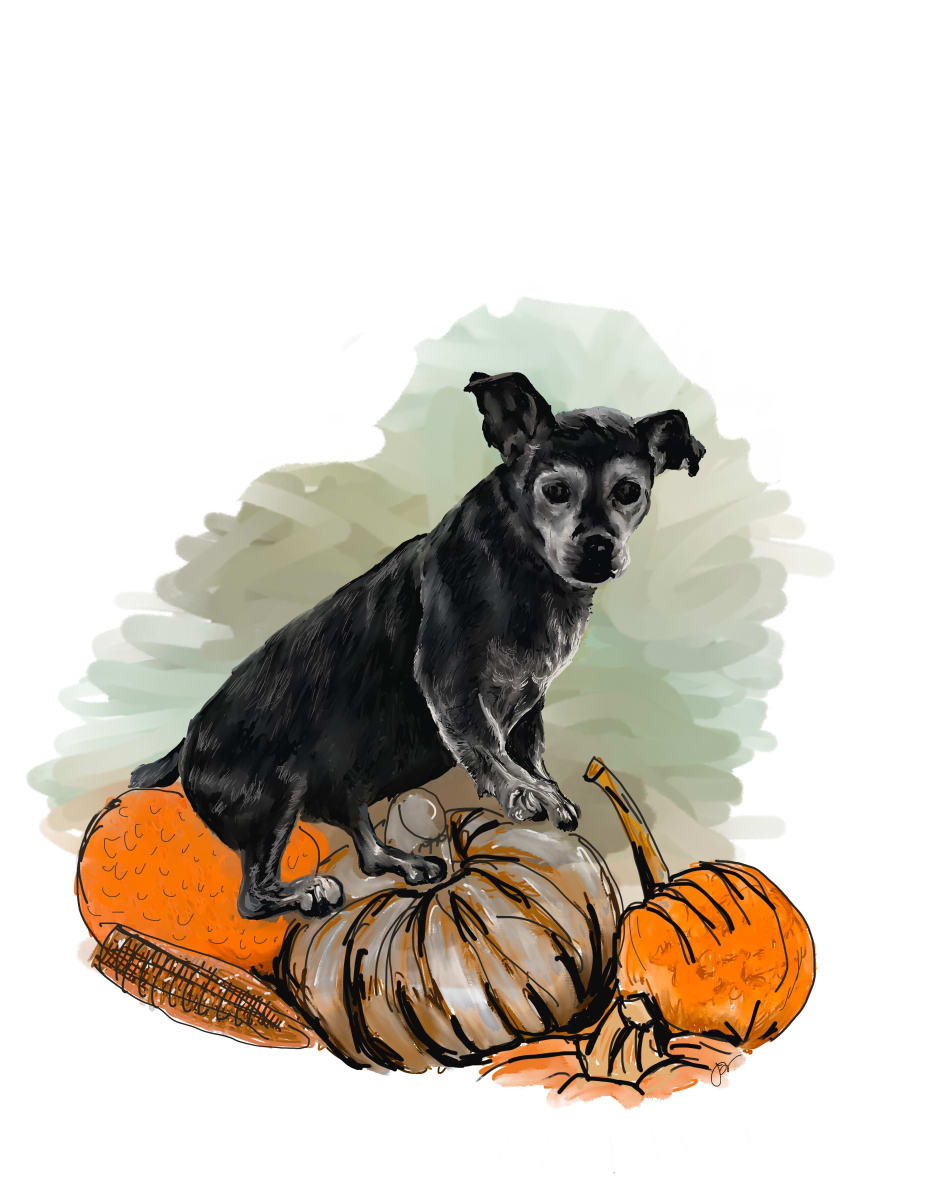 Dexter Pumpkins 