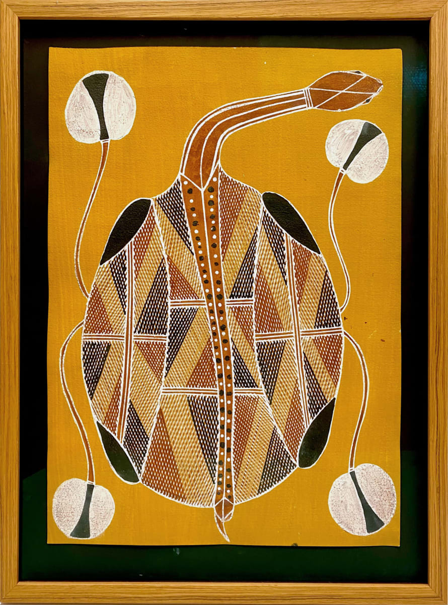 Womardu , Long Neck Turtle - Yolngy Tribe Art by Attb: Marika Family Artist 