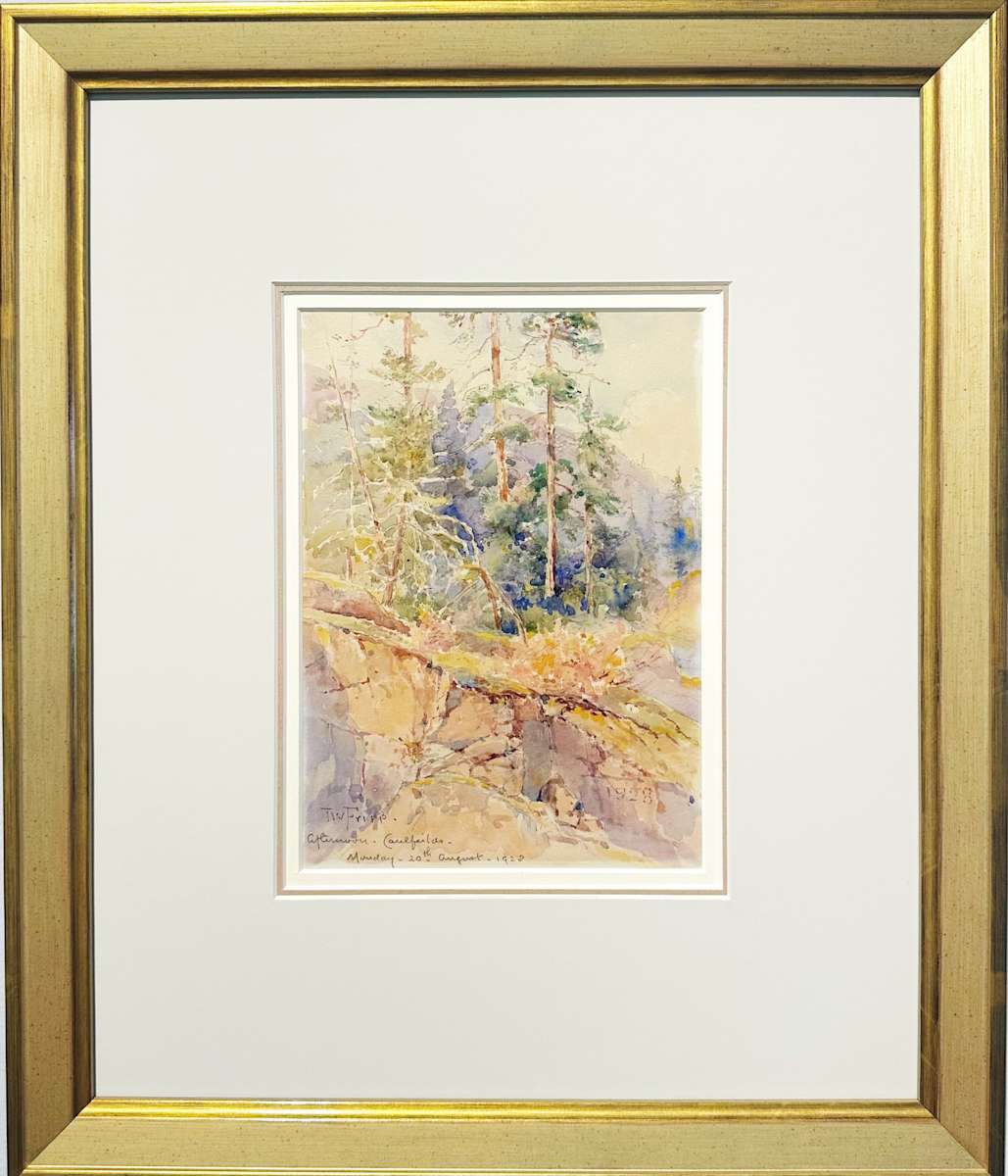 Afternoon Caulfields by Thomas W. Fripp (1864-1931) 