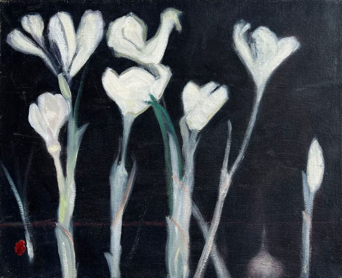 White Flower by Marie H Becker 