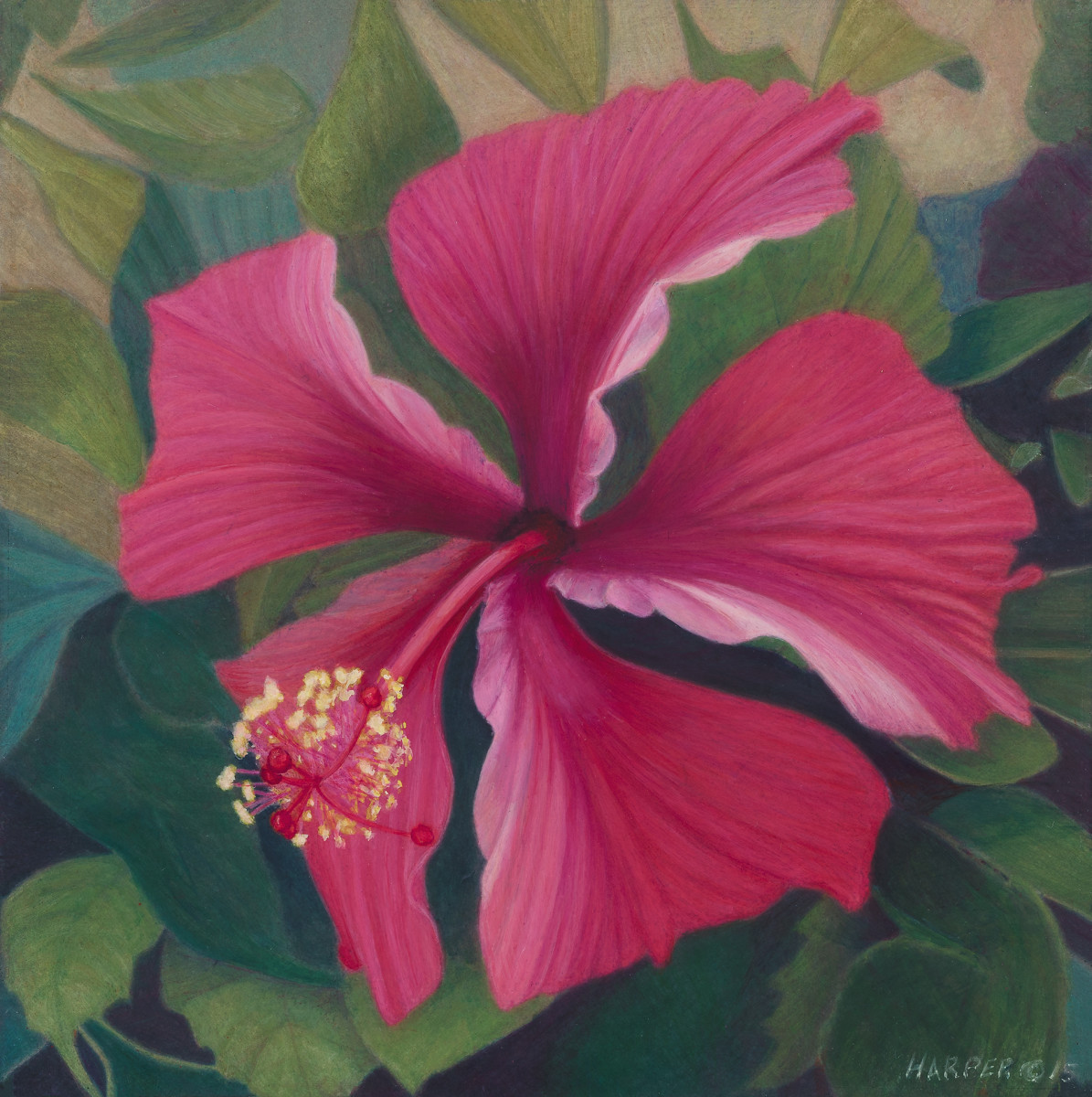 Hibiscus by Nelia Harper 