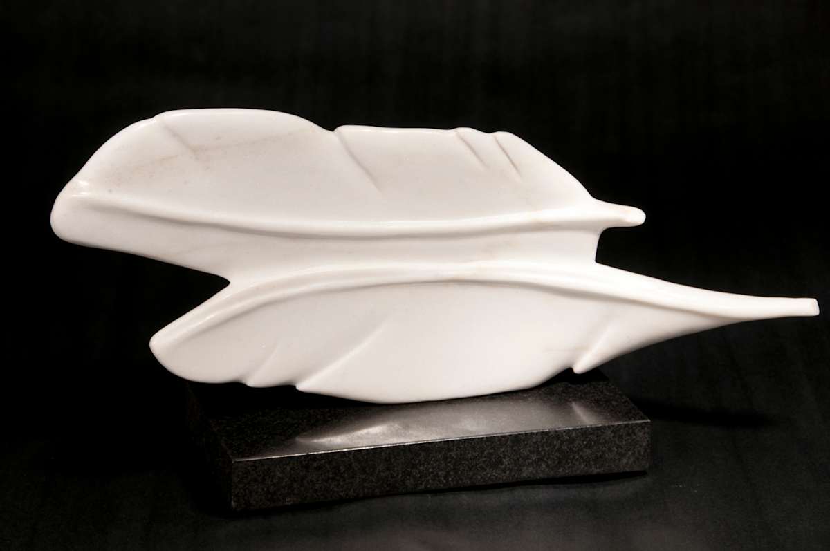 Fallen Feathers by Frances A Listou, Image 1.