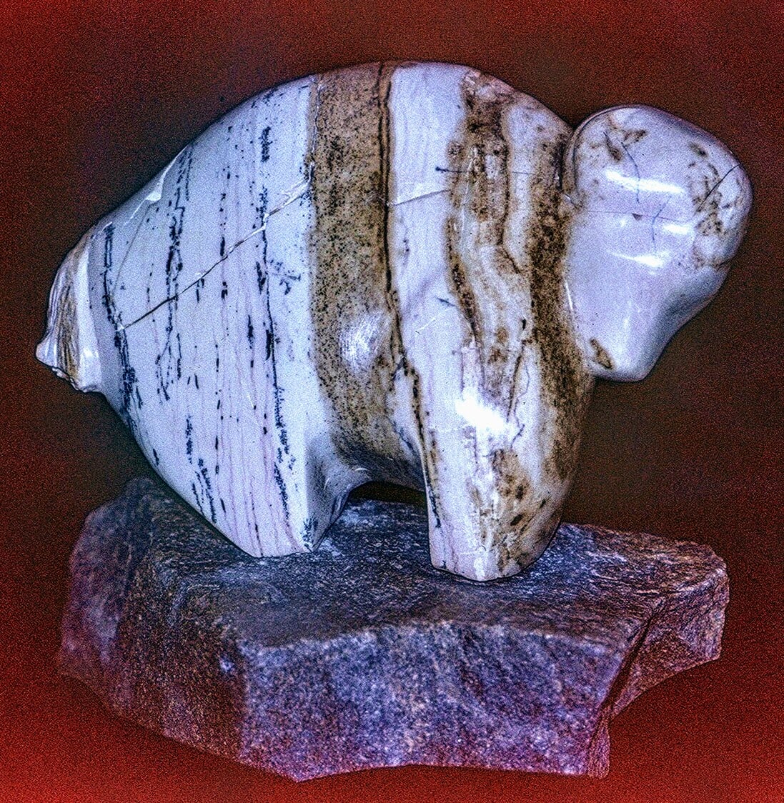 Laurie's Buffalo by Frances A Listou 