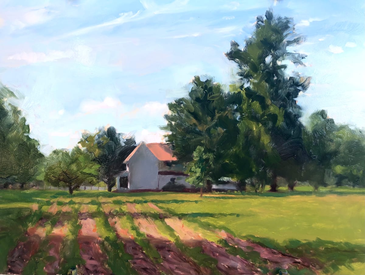 Forest Landing Fields, Image 1.