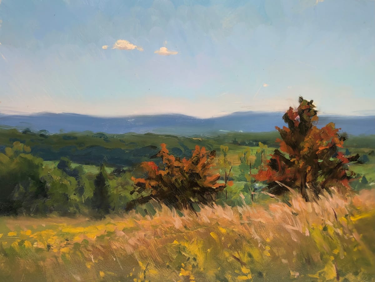 Fox Hill Fields by Laurie Maher 