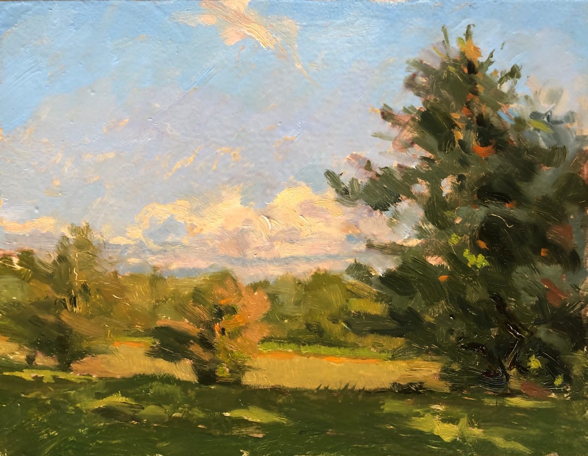 Farmstead fields by Laurie Maher 