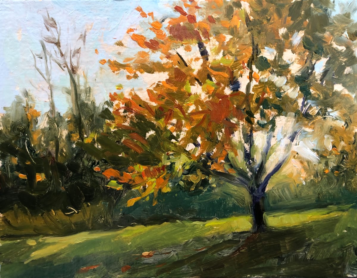 Sunlight Through Trees 