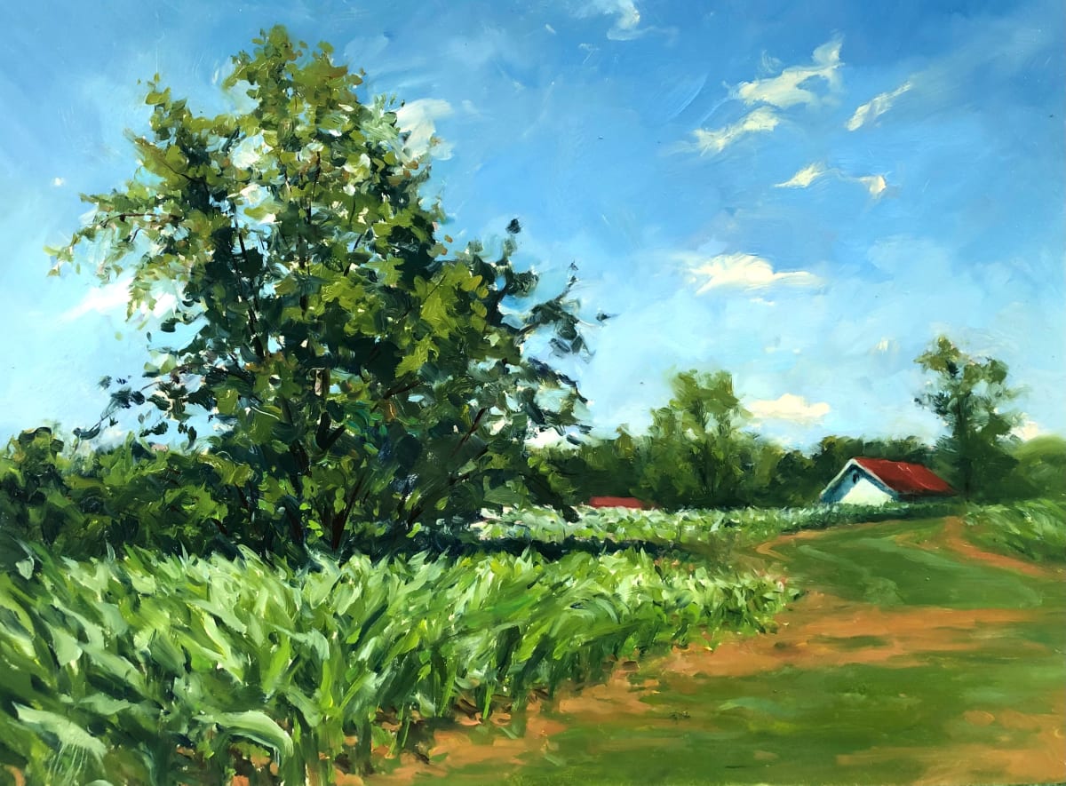 Good Day To Fly A Kite 