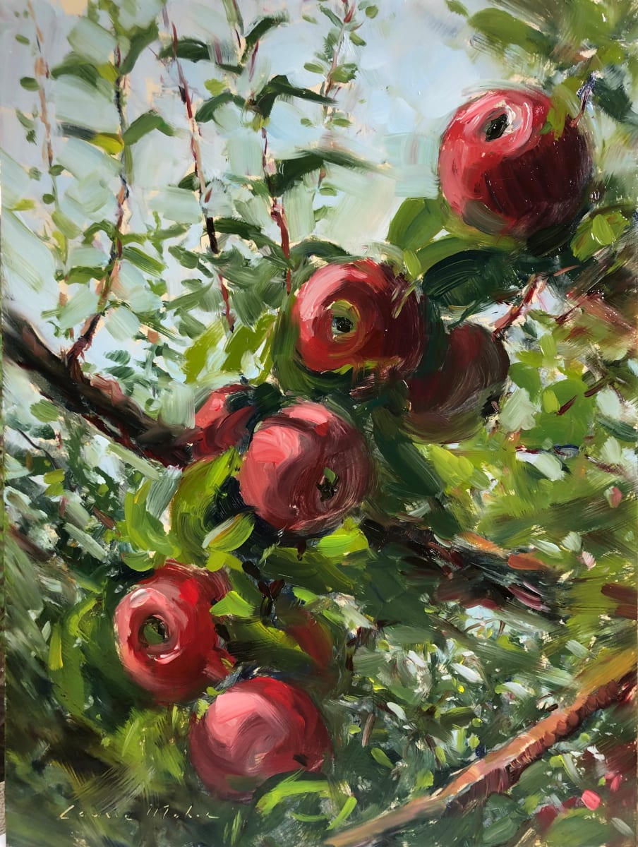 Apple Trees at Melick's Orchard by Laurie Maher 