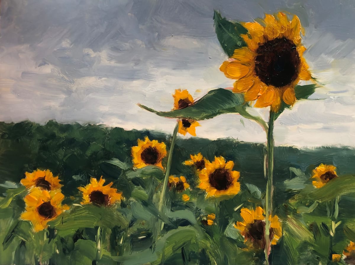 Cloudy Day, Sunflower Field in Califon by Laurie Maher 