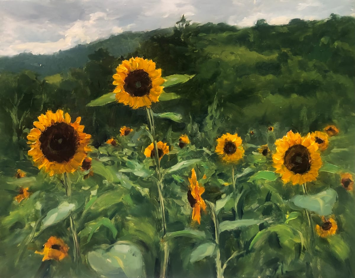 Sunflowers, Califon by Laurie Maher 