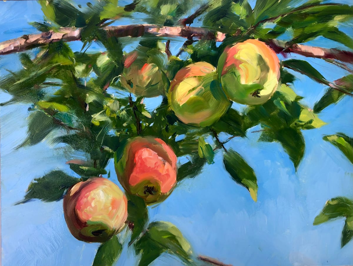 Apple Orchard, Melick's Town Farm by Laurie Maher 