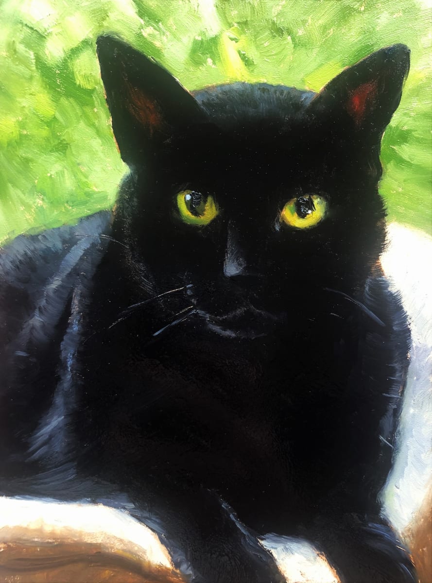 Chance by Laurie Maher 