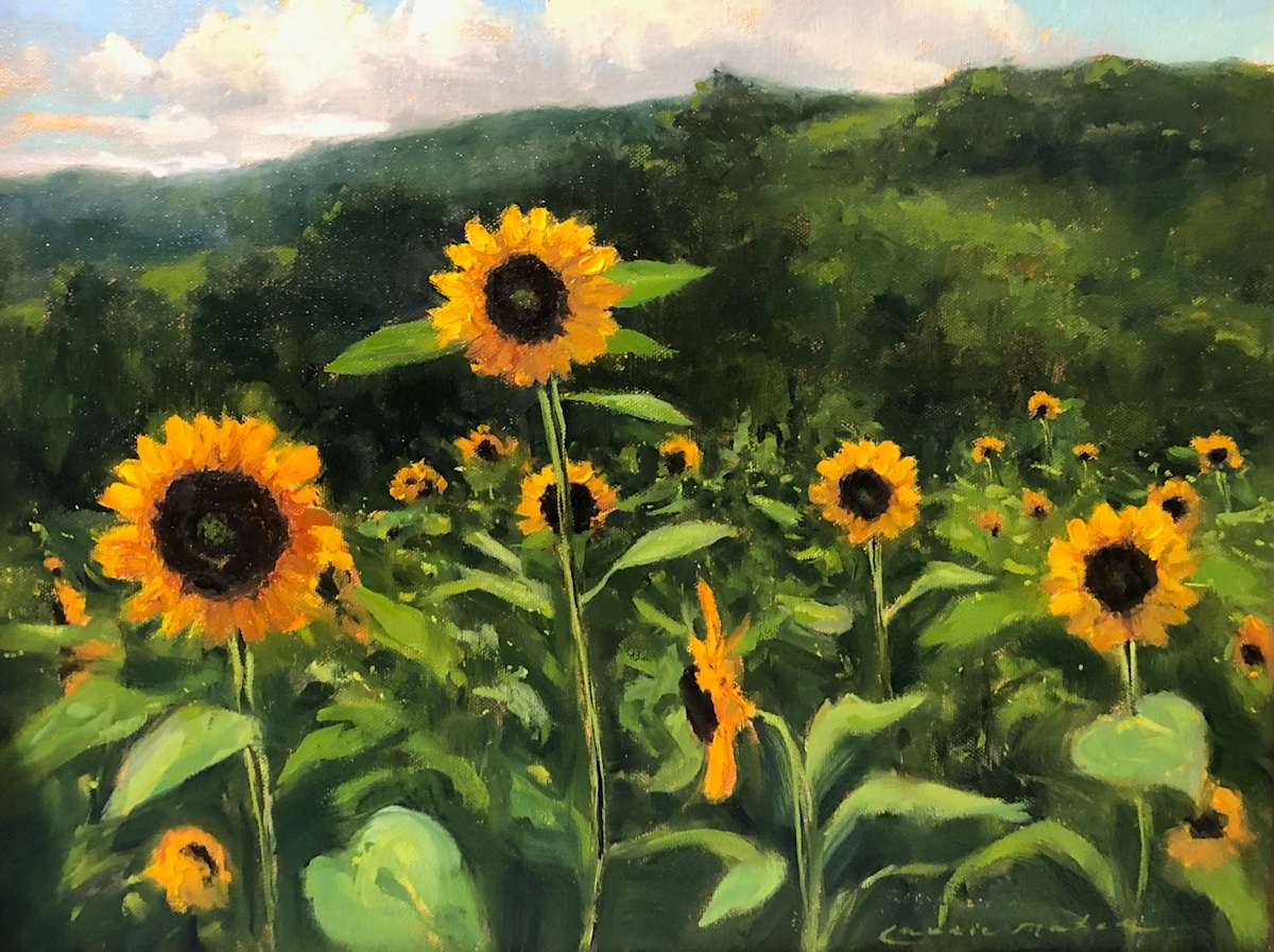 Califon Sunflower Field by Laurie Maher 