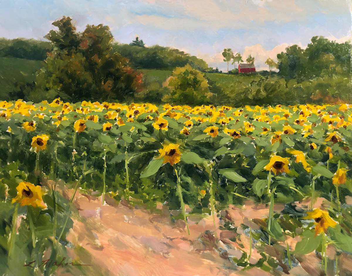 Sussex County Sunflower Fields by Laurie Maher 