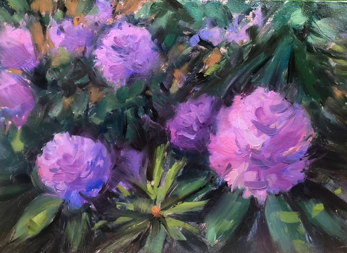 Rhododendrons, Image 1.