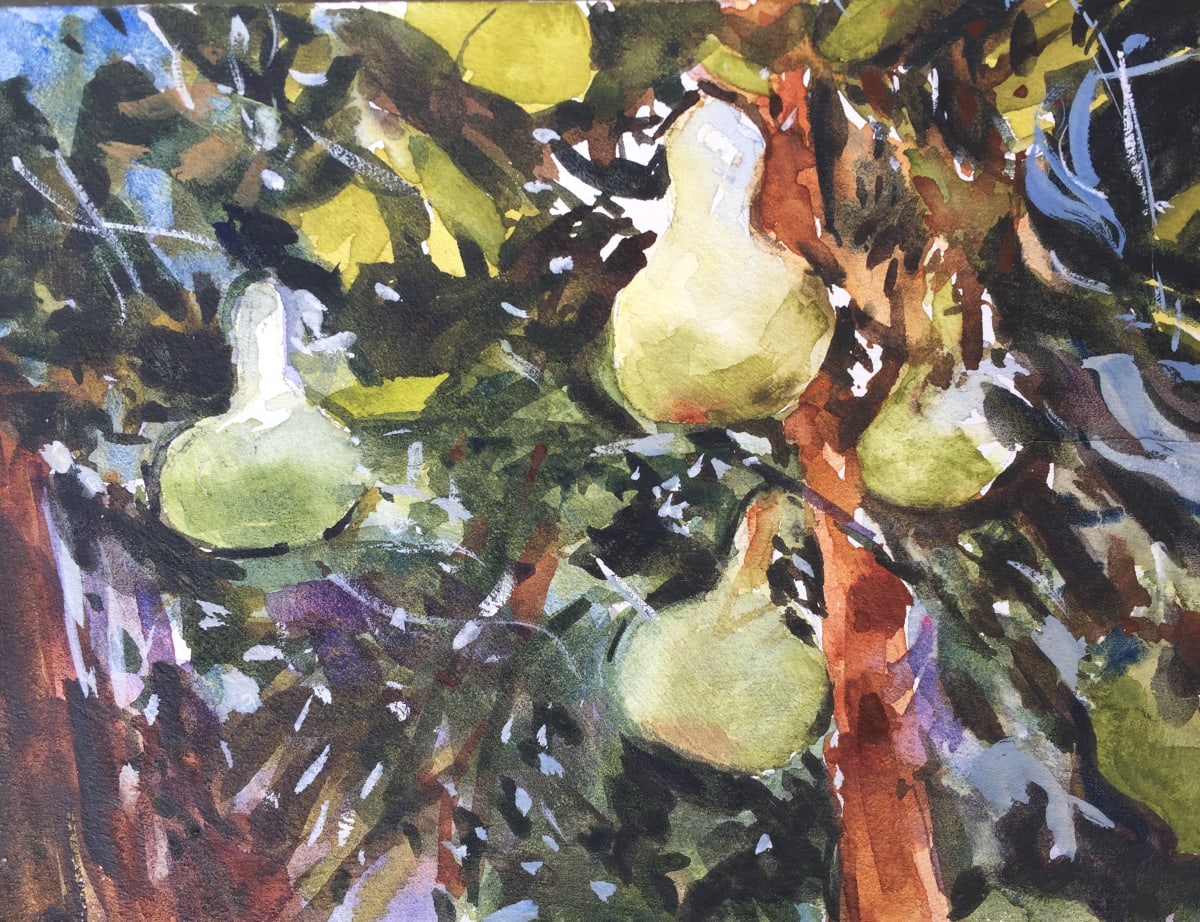Gourds- After John Singer Sargent, Image 1.