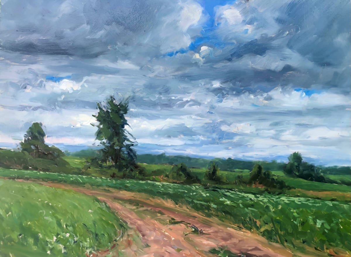 Approaching Thunderstorm by Laurie Maher 