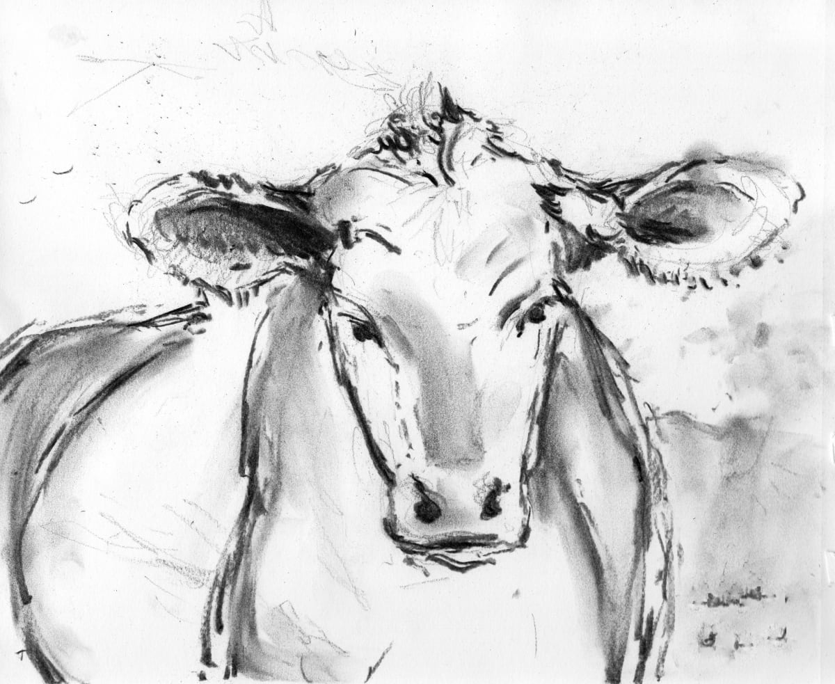 Cow 