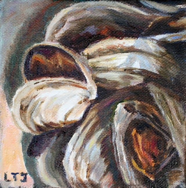 Clams #2 by Laura Tryon Jennings 