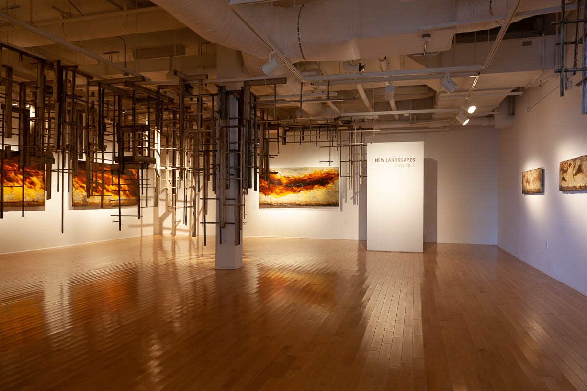 New Landscapes  2020 Installation 