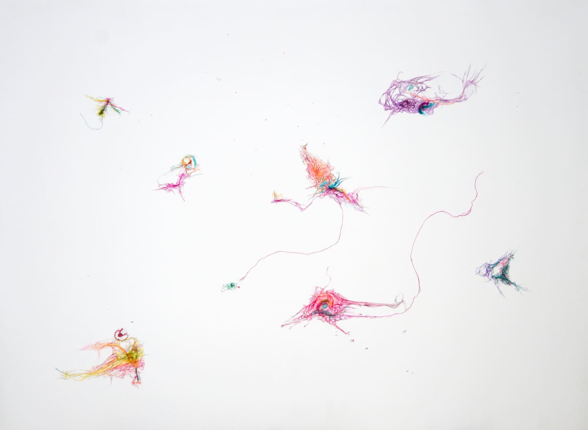 Feather on a Silver Platter by Emma Balder 