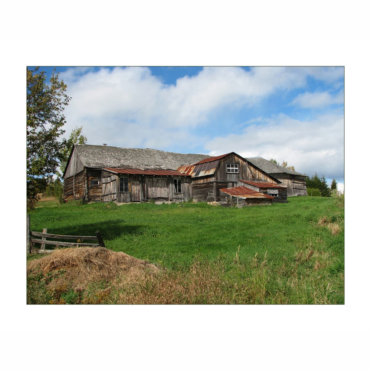 Ontario Barn by Don Leverich 