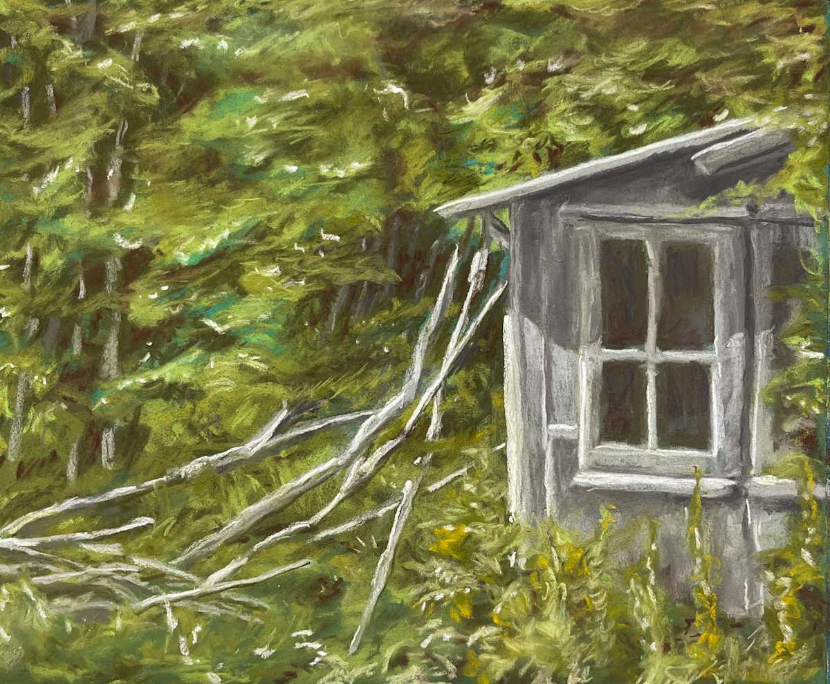 Hiding by Don Leverich  Image: A forgotten shed peeks out of the wood.