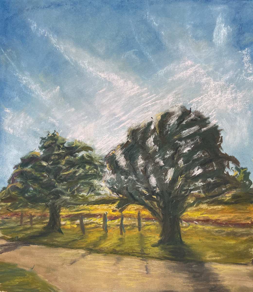 Sun Down by Don Leverich  Image: Two trees in the rays ways.
