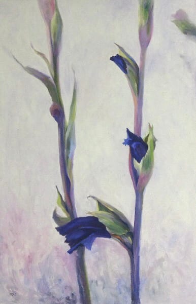 Delicate Duo by Cathy Boyd Fine Art 