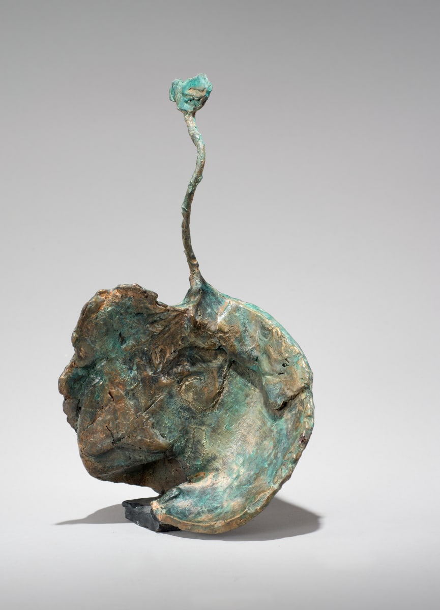 Flamenco by Mary Dee Thompson 