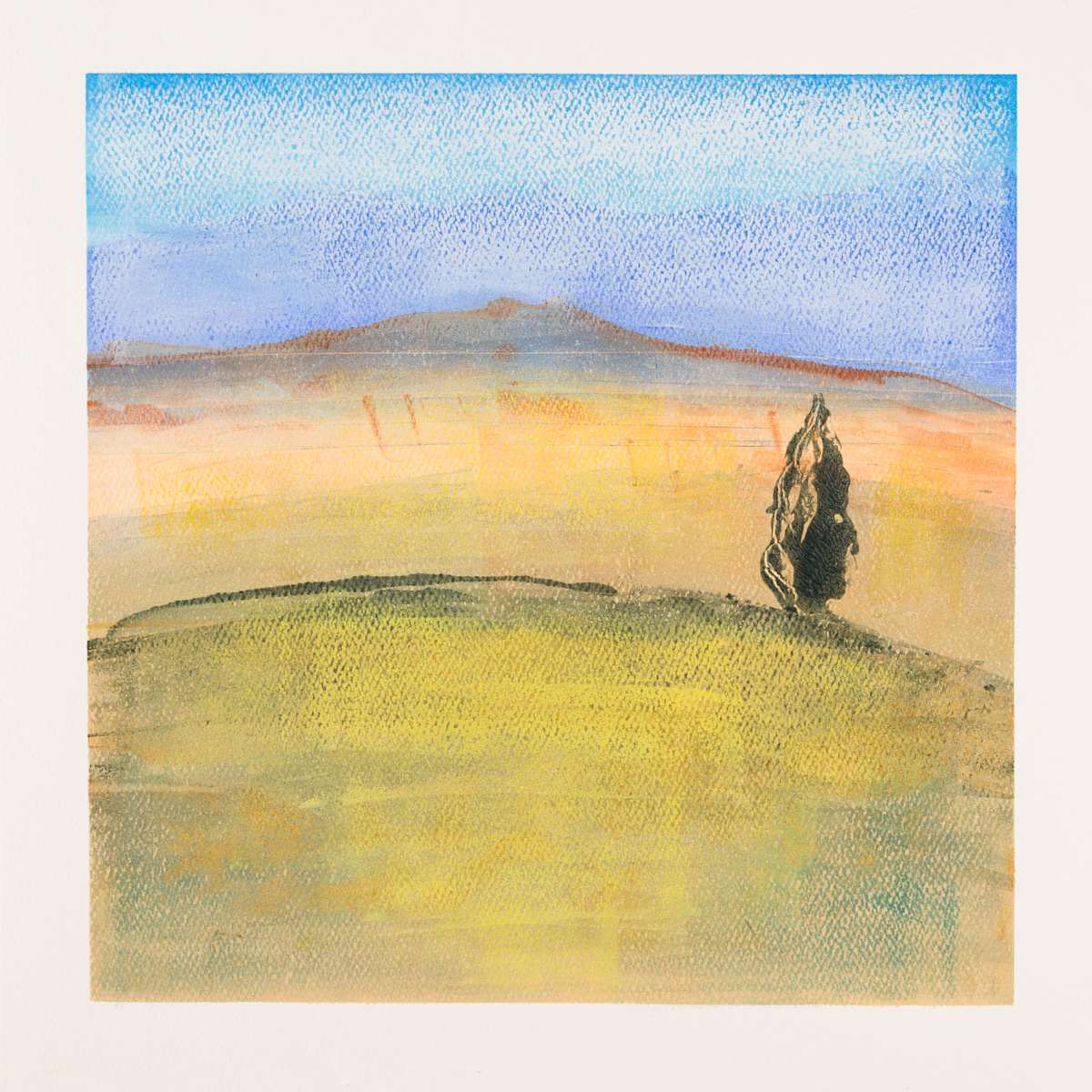Lonely cypress, Image 1.