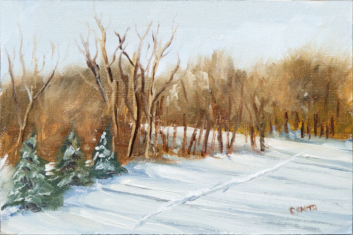 First snow by Cath Smith, Image 1.