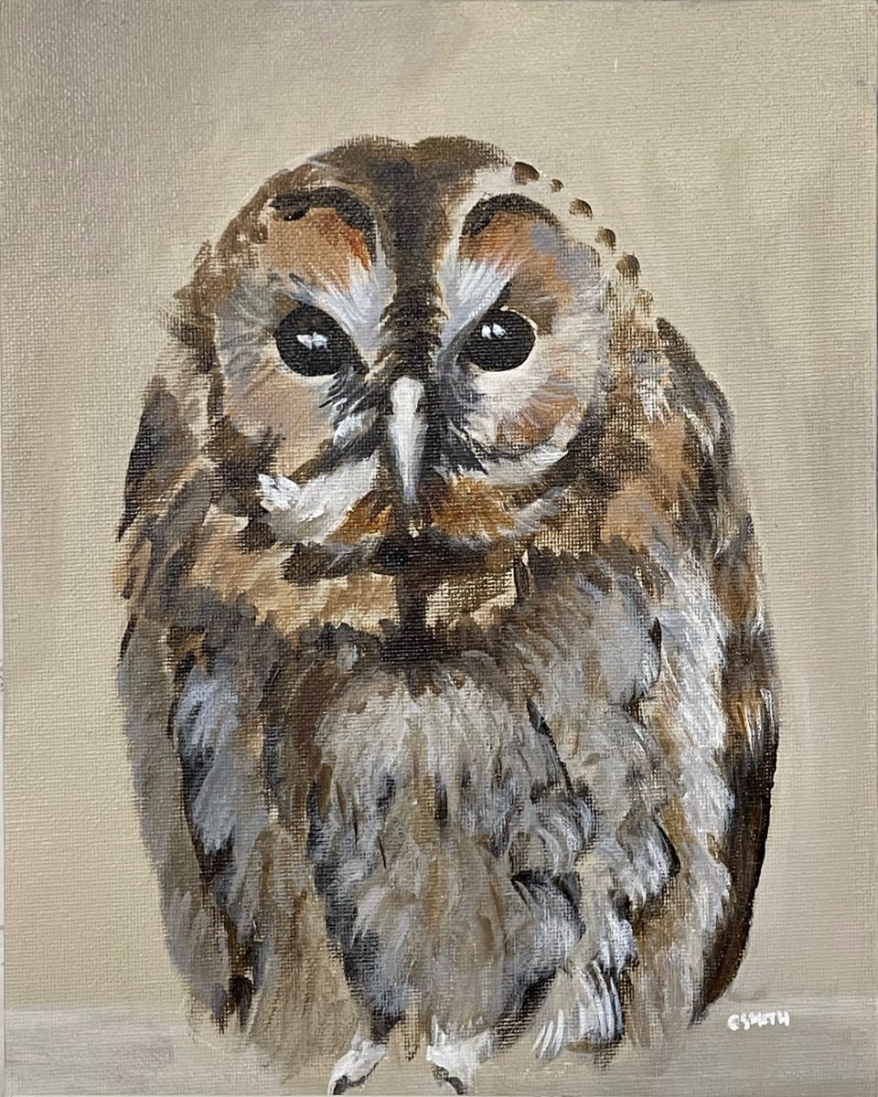 Owl by Cath Smith 