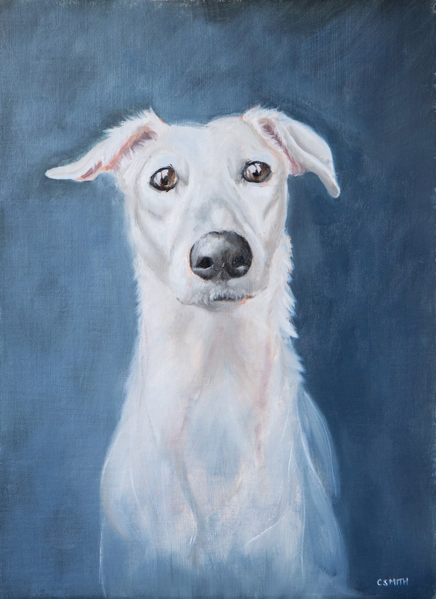 Percy by Cath Smith 