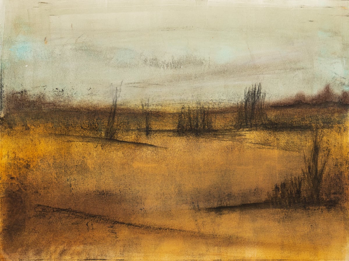 Desertscape 