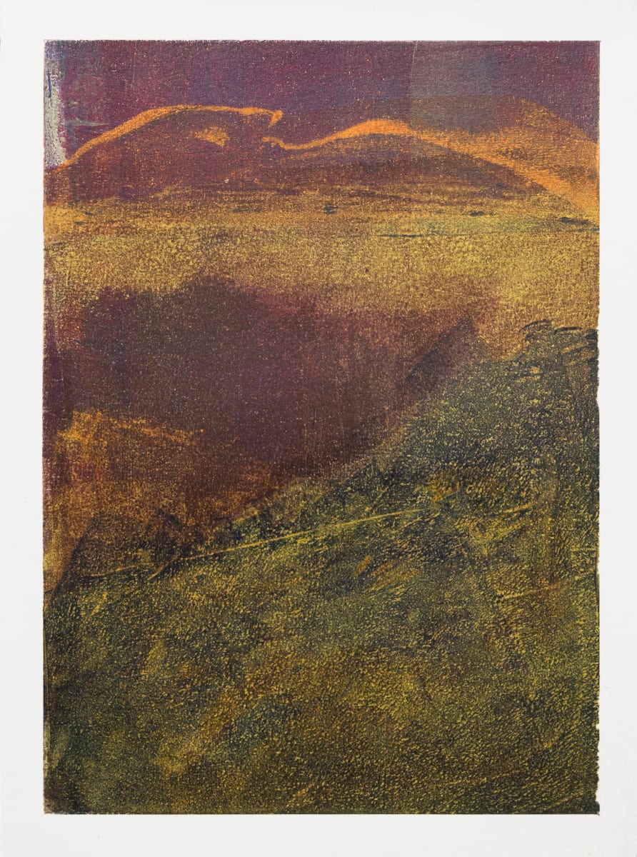 Sunlight on the Dunes 