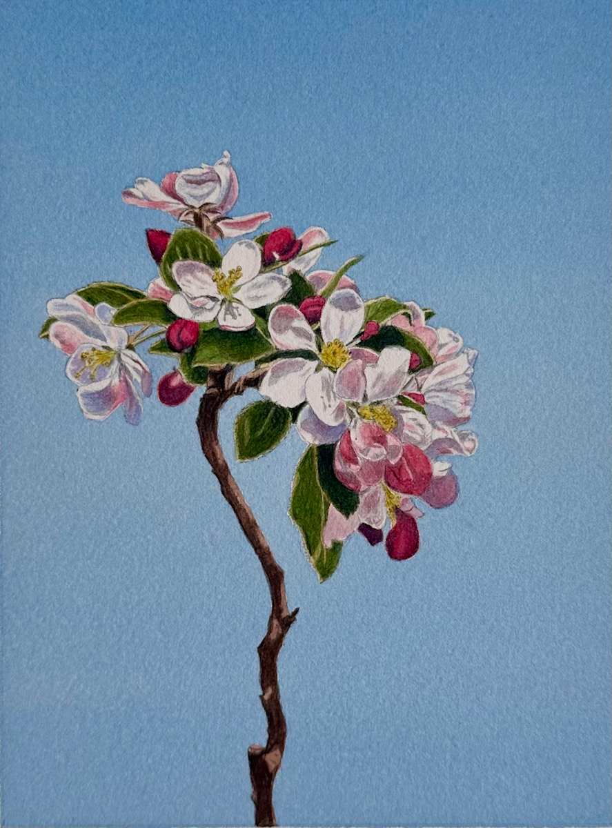 Spring Blossom #3 by Tatjana Garibaldi  Image: Spring Blossom by Tatjana Garibaldi 