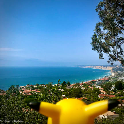 Ears Across America: Vistas. La Jolla, California 