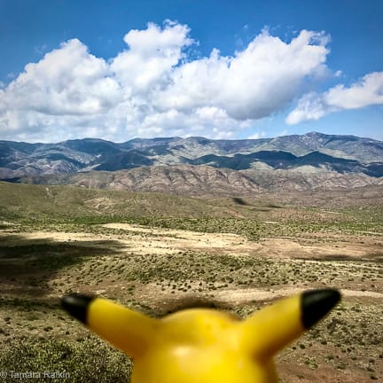 Ears Across America: Overlook August 19, Arizona 