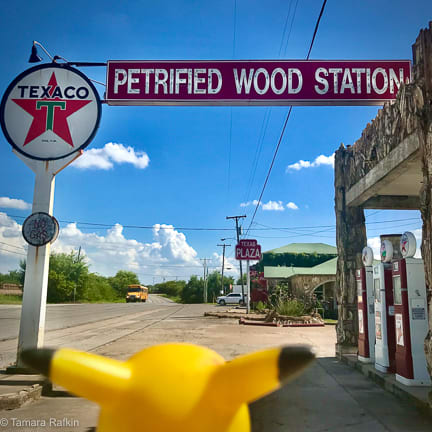 Ears Across America: Petrified Wood Station, Texas. 