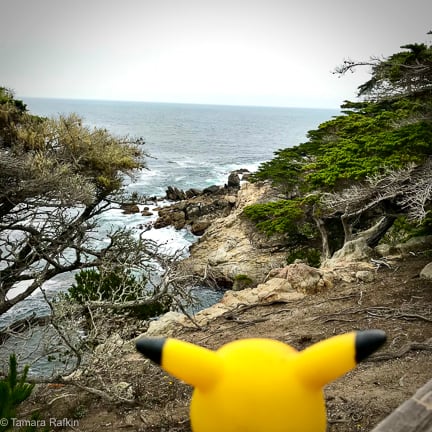 Ears Across America: Hello Pacific - 17 Mile Drive, California 