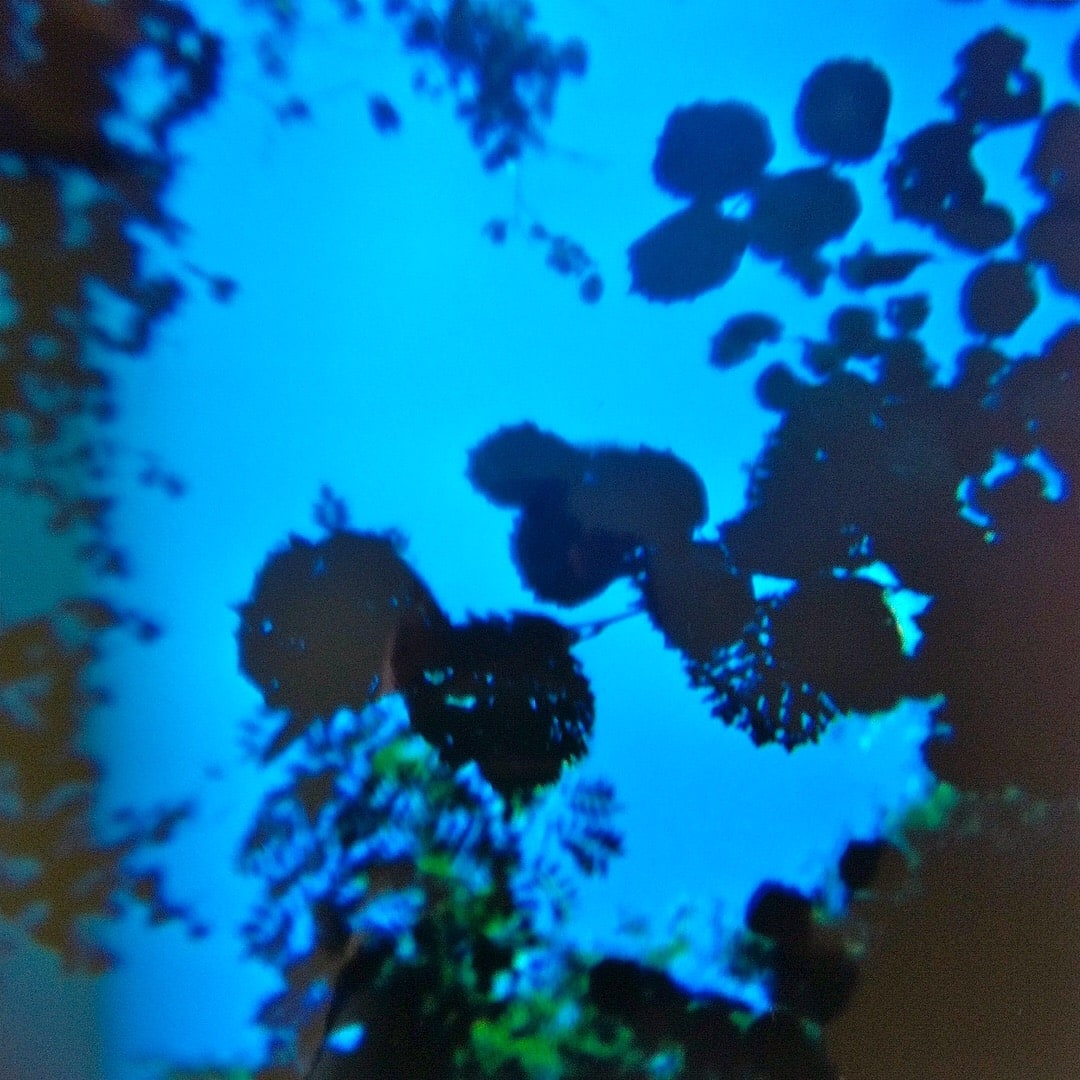 Dreamscape 3 by Tamara Rafkin 