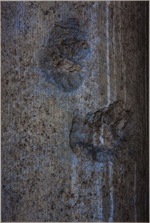 Scars Halensee 976 by Tamara Rafkin, Image 1.
