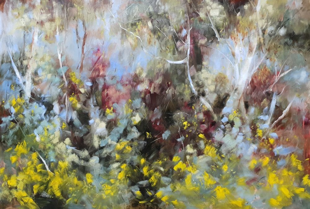 Wattle Softly by Victoria Pynt 