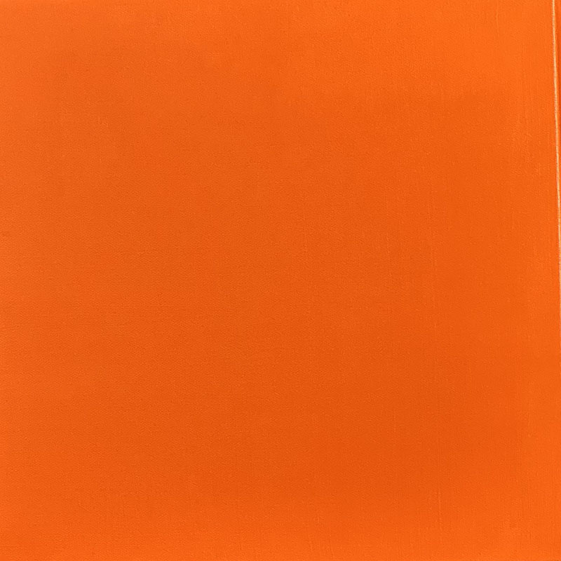 Orange Color Pop by Bonny Shilton 