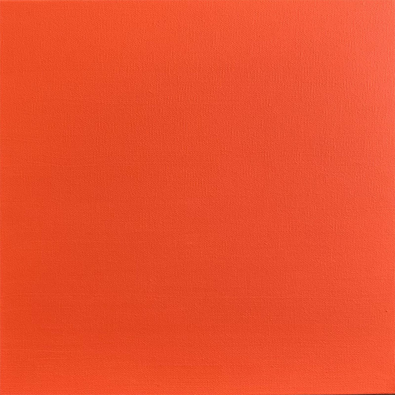 Red Orange Color Pop by Bonny Shilton 