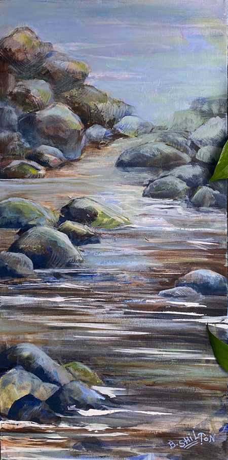 Rocky Stream by Bonny Shilton 