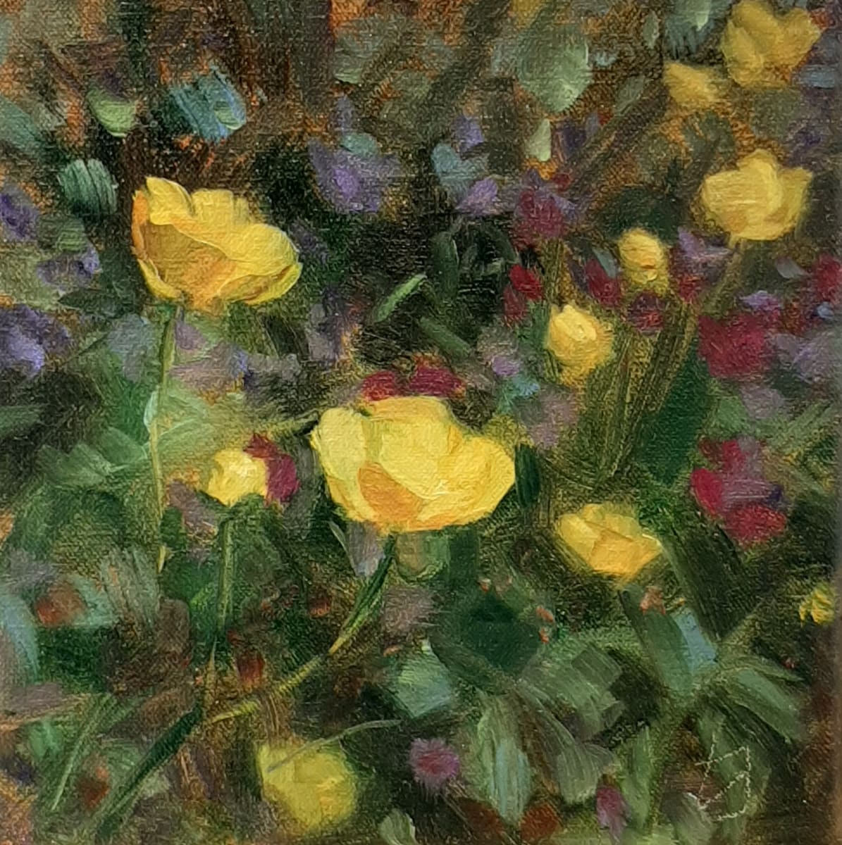 Sóley study, Image 1.