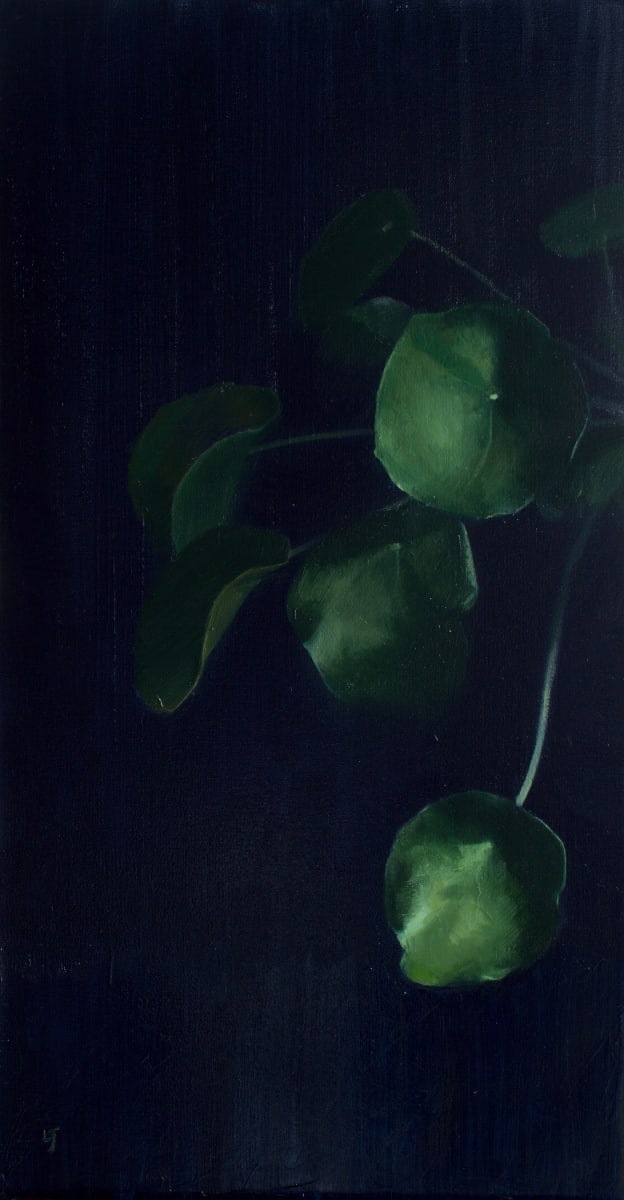 Kínverskt Peningablóm 03 by Linda Jen Art 